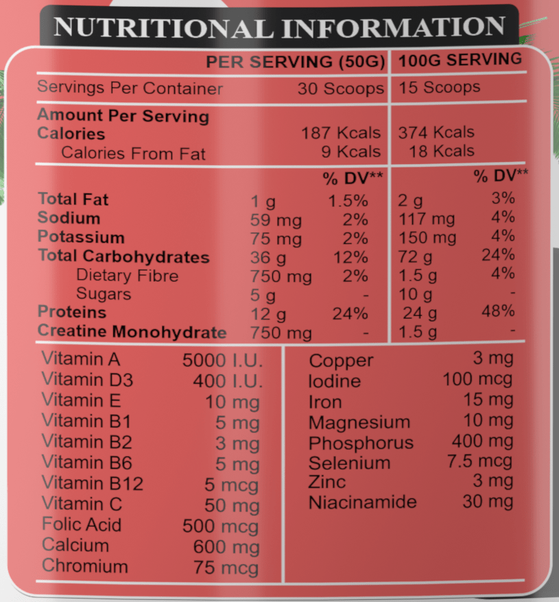 Arscor's FitFruit Mass Gainer - Lean mass gainer supplement with natural ingredients and easy digestion