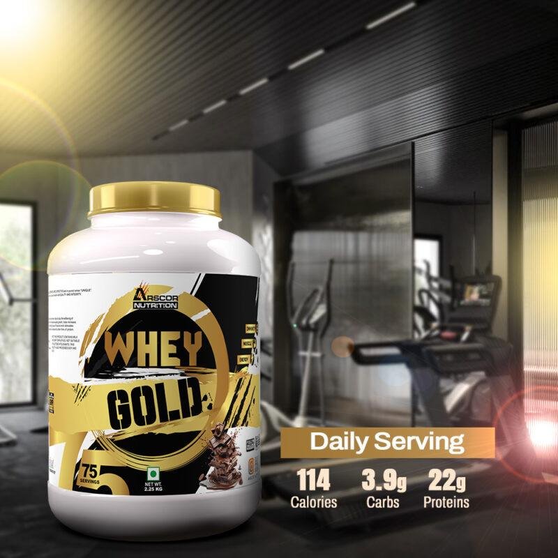 Arscor Whey Gold protein powder ideal for gym workouts and post-exercise nutrition